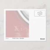 Scheinwerfer Postkarte (Rückseite)