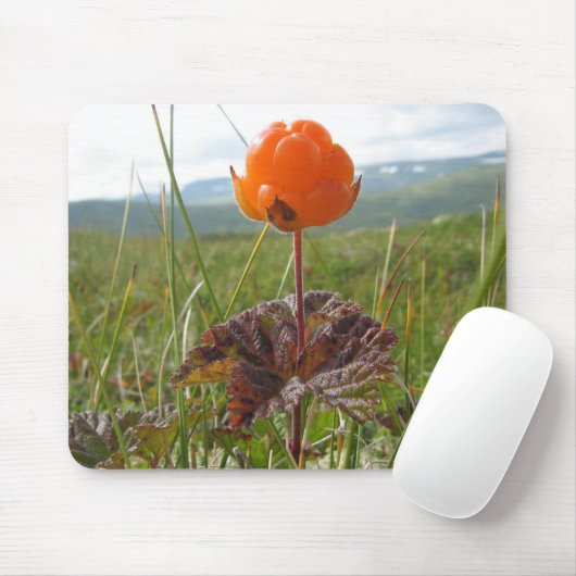 Schellbeere Mousepad (Mit Mouse)