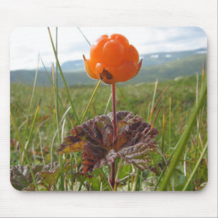 Schellbeere Mousepad