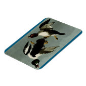 Schellente Meerente Magnet (Linke Seite)