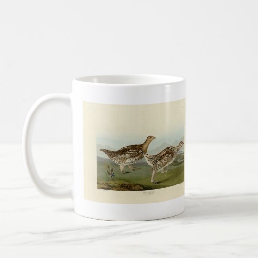 Schellfresser - Audubons Vögel in Amerika Kaffeetasse (Links)