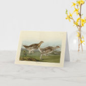 Schellfresser - Audubons Vögel in Amerika Karte (Gelbe Blume)