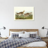 Schellfresser - Audubons Vögel in Amerika Leinwanddruck (Insitu (Schlafzimmer))