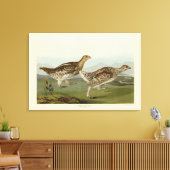 Schellfresser - Audubons Vögel in Amerika Leinwanddruck (Insitu (Wohnzimmer))