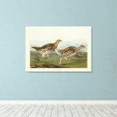 Schellfresser - Audubons Vögel in Amerika Leinwanddruck (Insitu (Holzboden))