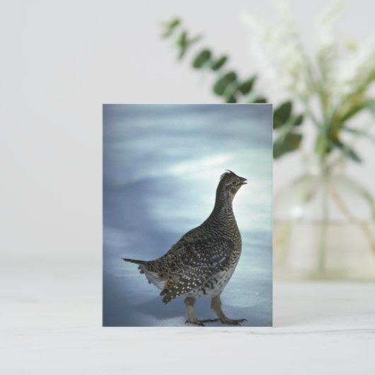 Schellfresser Postkarte (Stehend Vorderseite)