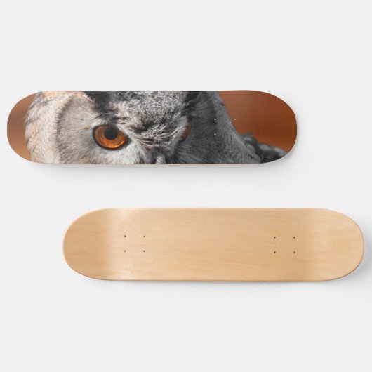 Schelm Skateboard (Horizontal)