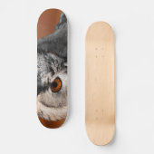 Schelm Skateboard (Vorderseite)