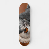 Schelm Skateboard (Vorderseite)