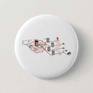 schema Netz network Button