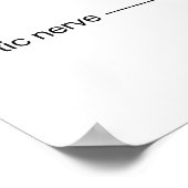 Schematische anatomische Darstellung des menschlic Poster (Ecke)