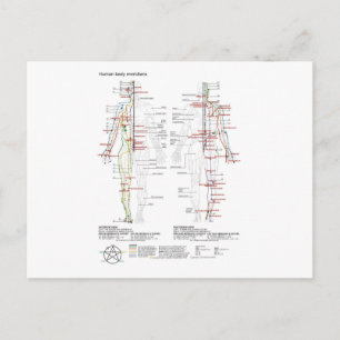 Schematische Chinesische Meridiane Postkarte Musku