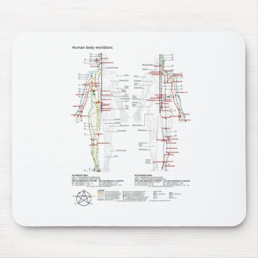 Schematische Darstellung der chinesischen Ärzte de Mousepad (Vorne)