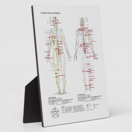 Schematische Darstellung des chinesischen oder men Fotoplatte (Seite)