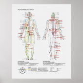 Schematische Darstellung des chinesischen oder men Poster (Vorne)