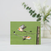 Schere im Flug Postkarte (Stehend Vorderseite)