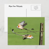 Schere im Flug Postkarte (Vorne/Hinten)
