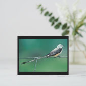 Schere Postkarte (Stehend Vorderseite)