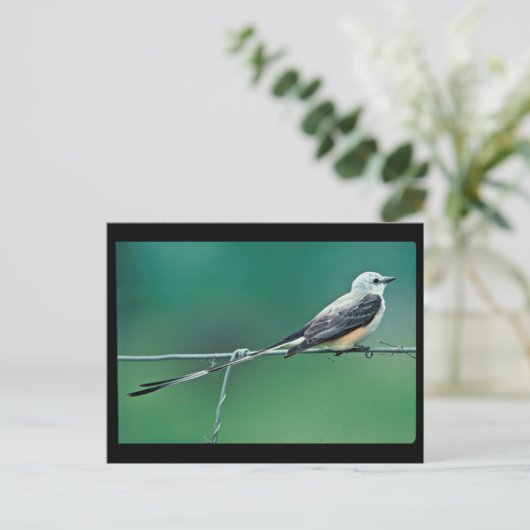 Schere Postkarte (Stehend Vorderseite)