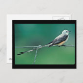 Schere Postkarte (Vorne/Hinten)