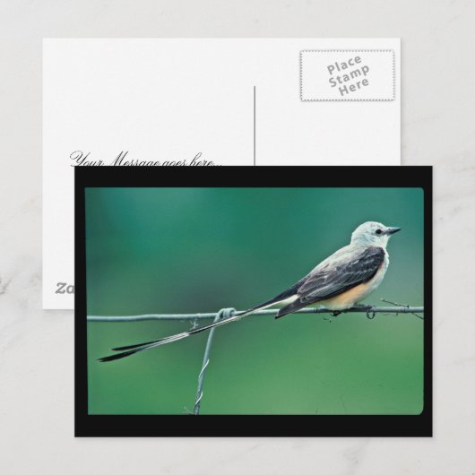 Schere Postkarte (Vorne/Hinten)