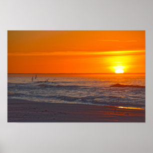 Scherenschnäbel fliegen bei Sonnenaufgang, Florida Poster