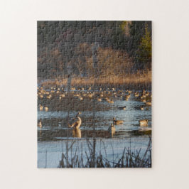SCHERZENDE GÄNSE. Puzzlespiel des Foto-11x14 mit Puzzle