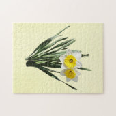 Scheue kleine Narzisse Puzzle (Horizontal)