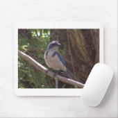 Scheuern Sie Jay Mousepad (Mit Mouse)