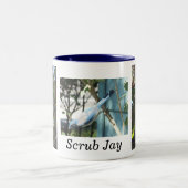 Scheuern Sie Jay-Tasse Zweifarbige Tasse (Mittel)