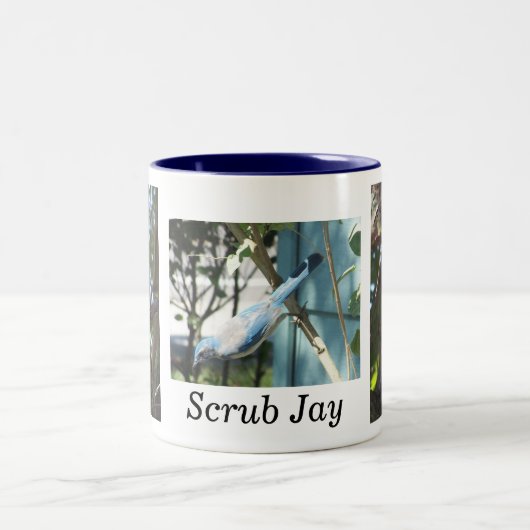 Scheuern Sie Jay-Tasse Zweifarbige Tasse (Mittel)