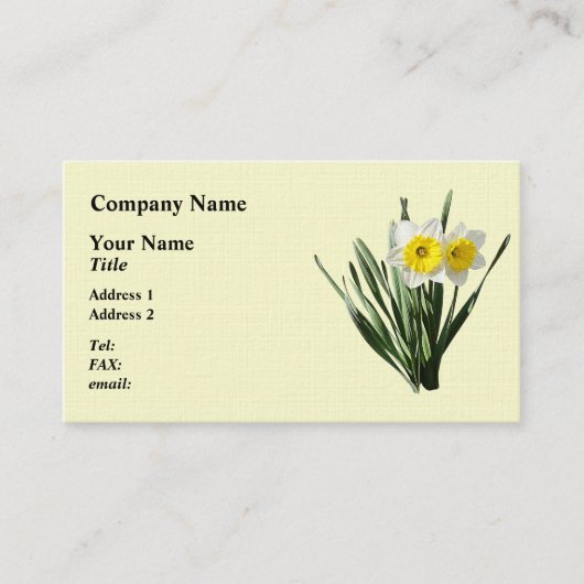 Scheues kleines Narzisse Visitenkarte (Vorderseite)