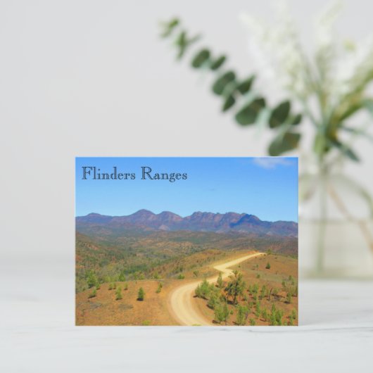 Scheuklandstreifen Postkarte (Stehend Vorderseite)