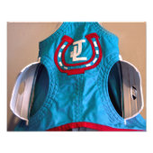 Scheuklappen Fotodruck (Vorne)