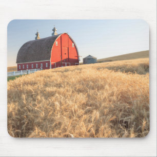 Scheune, Sommerweizenfelder in der Nähe von Spragu Mousepad