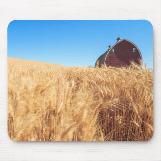 Scheune, Sommerweizenfelder nähern sich Sprague, Mousepad (Vorne)