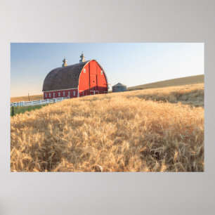 Scheune, Sommerweizenfelder nähern sich Sprague, Poster