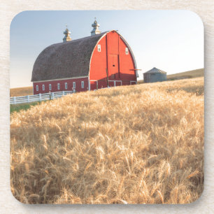 Scheune, Sommerweizenfelder nähern sich Sprague, Untersetzer