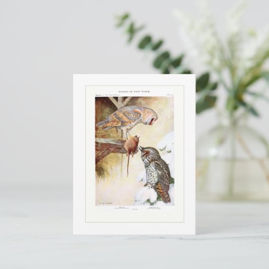 Scheune und Eichen Postkarte (Stehend Vorderseite)