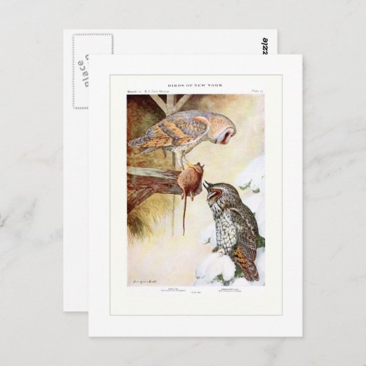 Scheune und Eichen Postkarte (Vorne/Hinten)