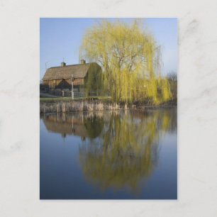 Scheune und Weide am Teich Postkarte