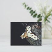 Scheunen in einem Baum Postkarte (Stehend Vorderseite)