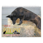 Scheunen-Jagd Assoc Kalender 2013 (Titelbild)