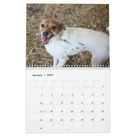 Scheunen-Jagd Assoc Kalender 2013 (Jan 2027)