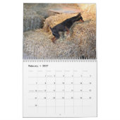 Scheunen-Jagd Assoc Kalender 2013 (Feb 2027)