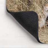 Scheunen-Katzen Mousepad (Ecke)