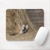 Scheunen-Katzen Mousepad (Mit Mouse)