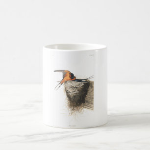 Scheunen-Schwalbe Audubon Platten-173 Kaffeetasse