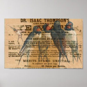 Scheunen-Schwalben Vintag Poster