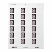 Scheuneneule Adressaufkleber (Vorne)